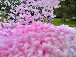 IMG 2068 1749439059 Colored Foam Option / Gender Reveal Foam